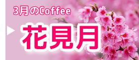  「花見月」(はなみづき)　3月のブレンド