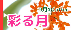 「彩る月」(いろどるつき)　9月のブレンド